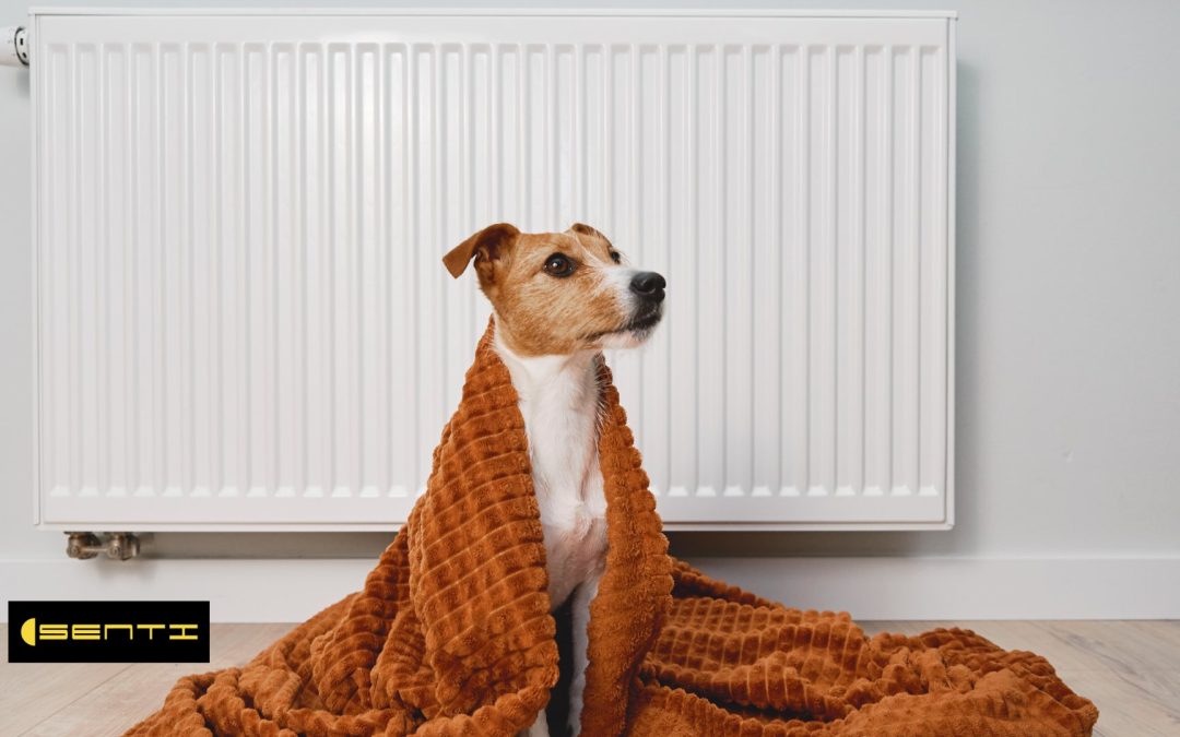 Welche Heizkostenersparnis ist möglich